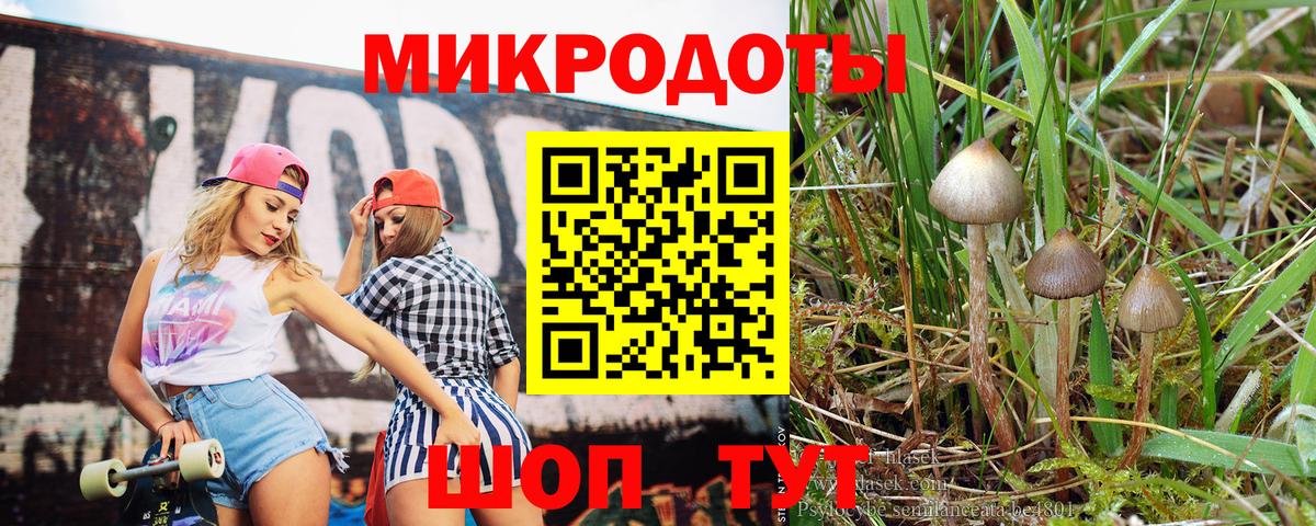 Псилоцибиновые грибы GOLDEN TEACHER Миллерово
