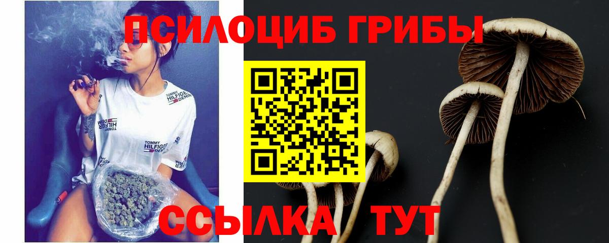 Миллерово  Галлюциногенные грибы GOLDEN TEACHER  Вход с VPN  Галлюциногенные грибы мицелий 